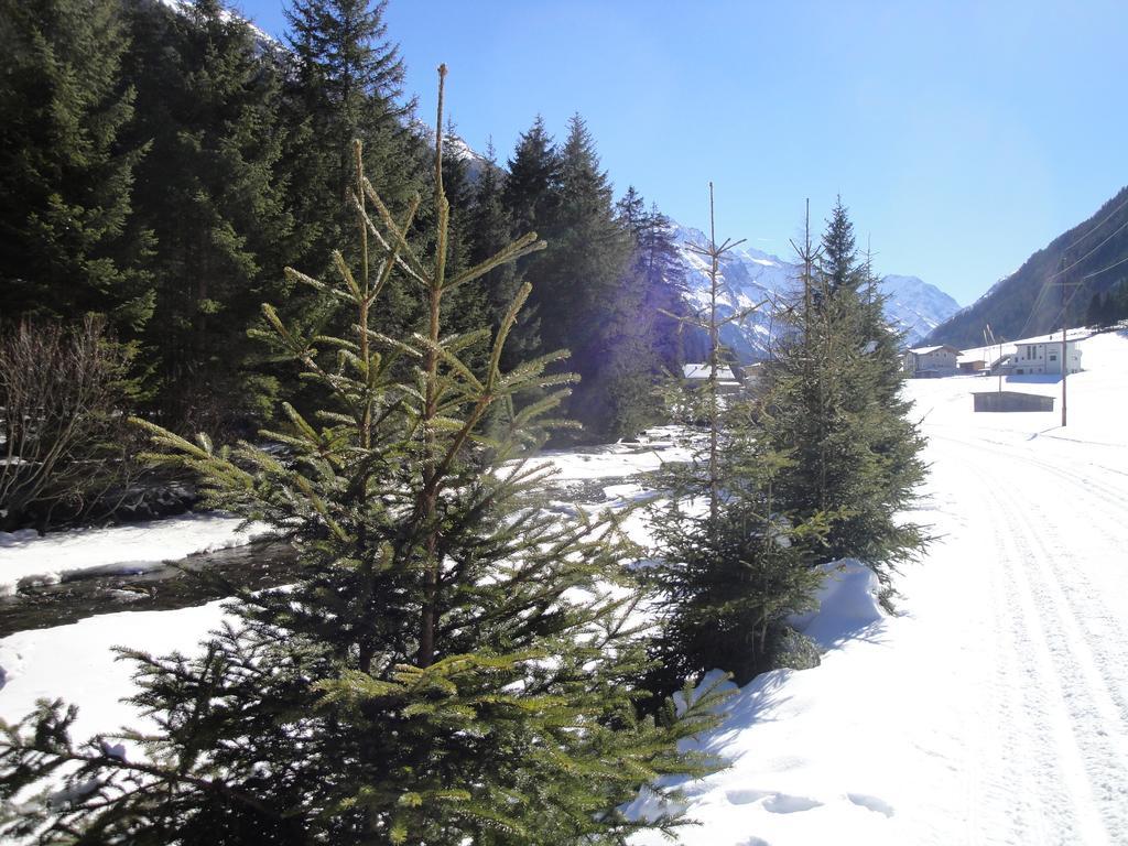 Apart Alpinea Sankt Leonhard im Pitztal Extérieur photo